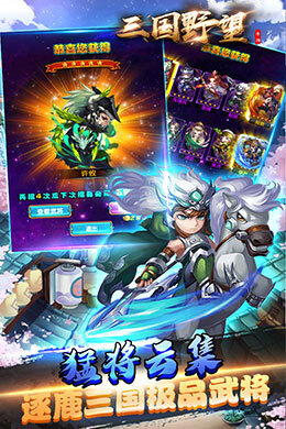 三国野望